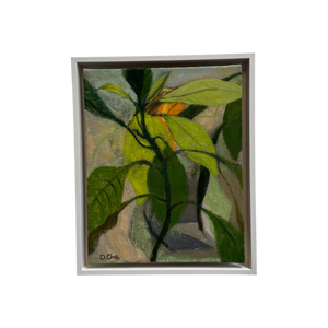 Avocado Leaves by Diane Che