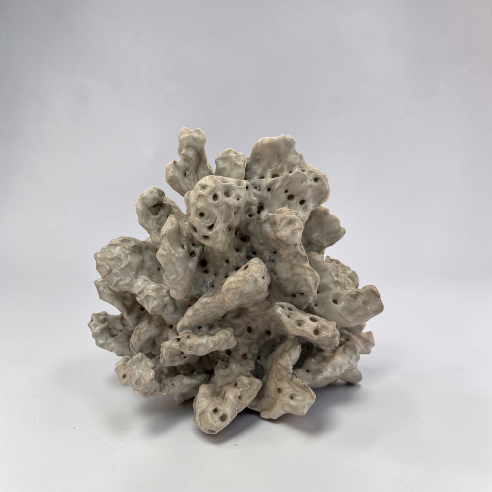 White Coral Built by Gattas