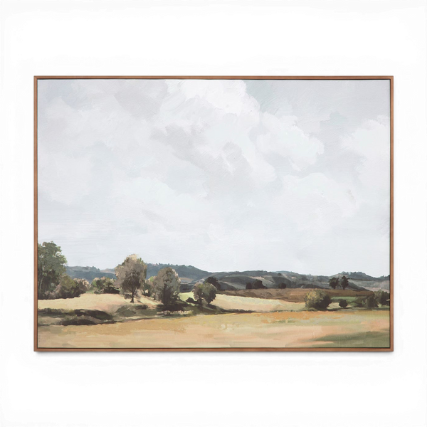 Vast Country Framed Painting