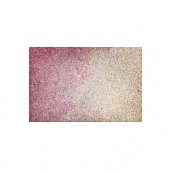Soft-Focus Abstract Framed Painting